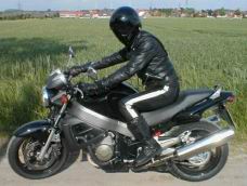 bikerandhismotorcyclepartIII.jpg
