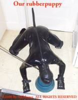 rubberpup1.jpg